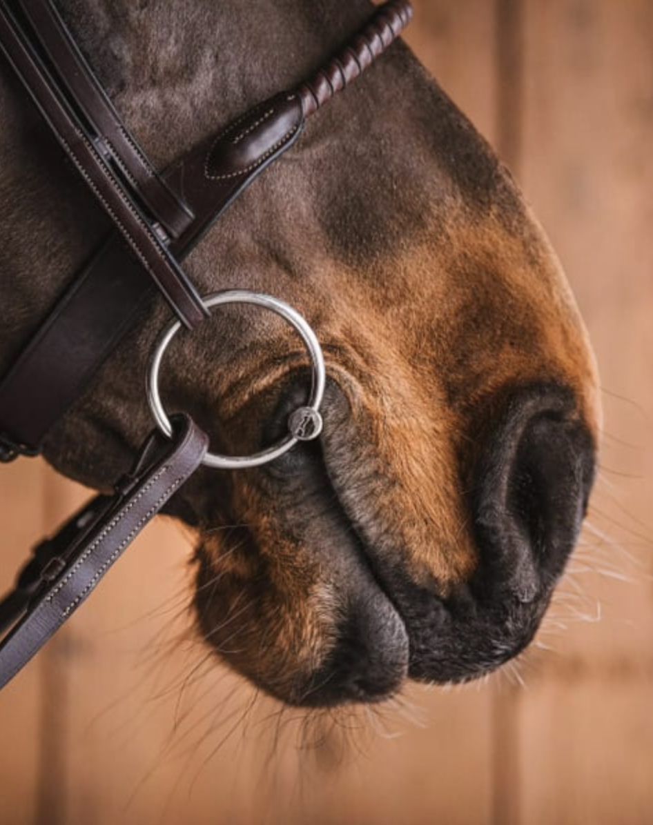 Käytetty Fager Conny sweet iron -liikkuva rengas 13,5cm tai 14,5 - Image 2