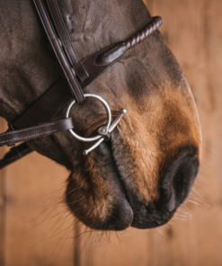 Alternative view of Fager Simon Sweet iron Baby Fulmer vuokrakuolain