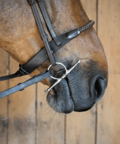 Alternative view of Fager Gustav sweet iron fullcheek vuokrakuolain