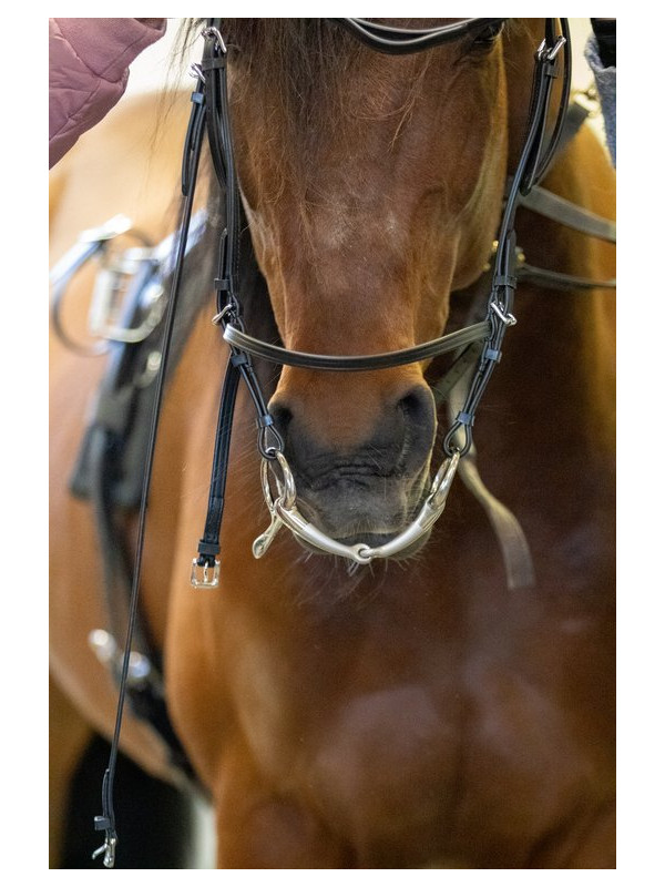 Sprenger Trotting Satinox nivelkuolain 14mm - Image 3