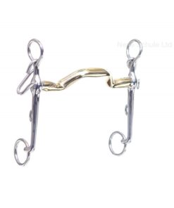 Neue Schule Warmblood kankikuolain